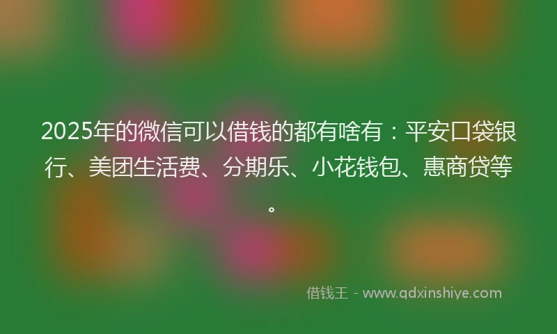2025年的微信可以借钱的都有啥有：平安口袋银行、美团生活费、分期乐、小花钱包、惠商贷等。