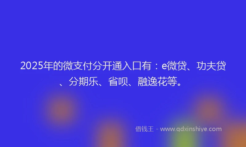 2025年的微支付分开通入口有：e微贷、功夫贷、分期乐、省呗、融逸花等。
