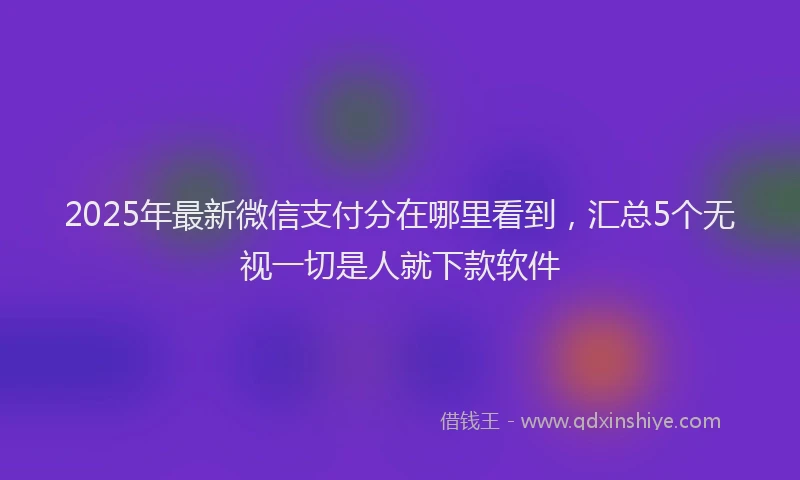 2025年最新微信支付分在哪里看到，汇总5个无视一切是人就下款软件