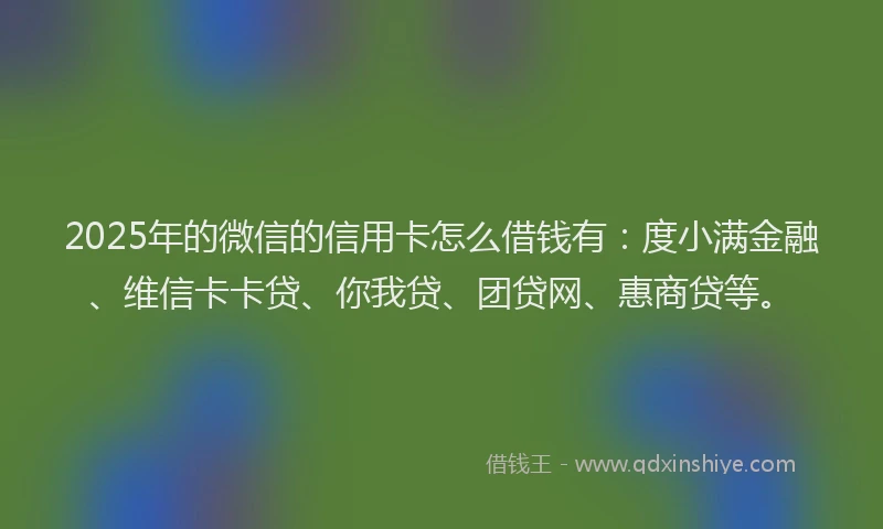 2025年的微信的信用卡怎么借钱有：度小满金融、维信卡卡贷、你我贷、团贷网、惠商贷等。