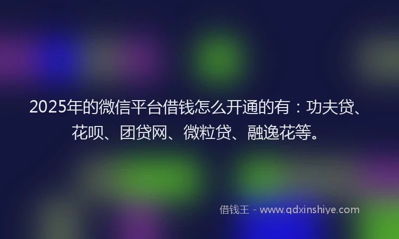 2025年的微信平台借钱怎么开通的有：功夫贷、花呗、团贷网、微粒贷、融逸花等。