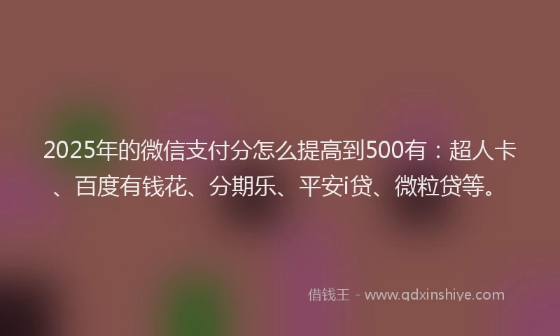 2025年的微信支付分怎么提高到500有：超人卡、百度有钱花、分期乐、平安i贷、微粒贷等。