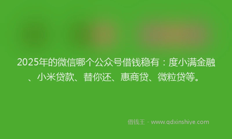 2025年的微信哪个公众号借钱稳有：度小满金融、小米贷款、替你还、惠商贷、微粒贷等。