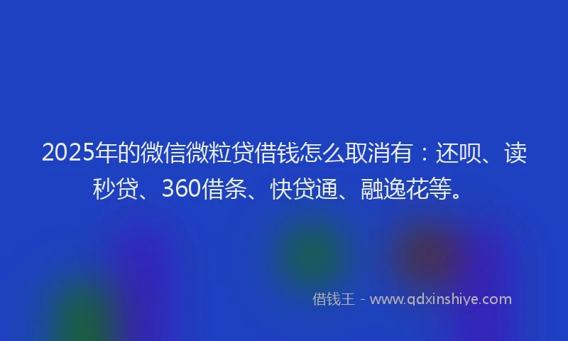 2025年的微信微粒贷借钱怎么取消有：还呗、读秒贷、360借条、快贷通、融逸花等。