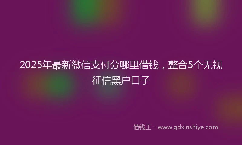 2025年最新微信支付分哪里借钱，整合5个无视征信黑户口子