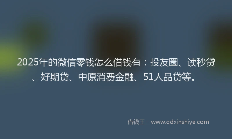 2025年的微信零钱怎么借钱有：投友圈、读秒贷、好期贷、中原消费金融、51人品贷等。