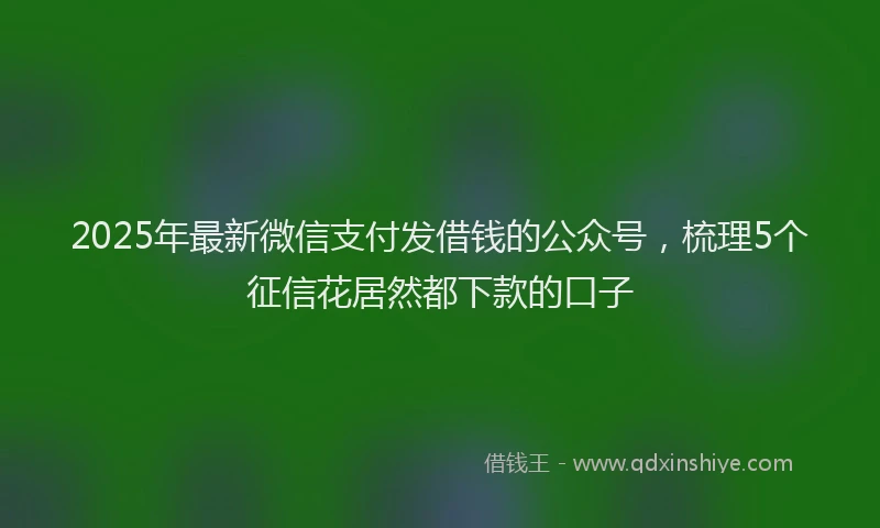 2025年最新微信支付发借钱的公众号，梳理5个征信花居然都下款的口子