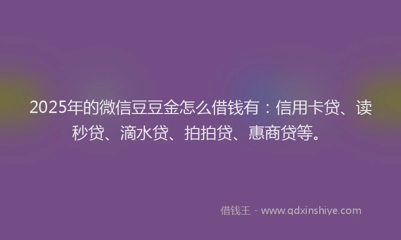 2025年的微信豆豆金怎么借钱有：信用卡贷、读秒贷、滴水贷、拍拍贷、惠商贷等。