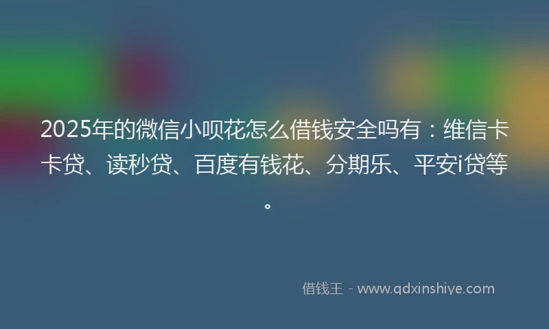 2025年的微信小呗花怎么借钱安全吗有：维信卡卡贷、读秒贷、百度有钱花、分期乐、平安i贷等。