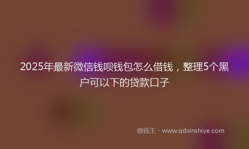 2025年最新微信钱呗钱包怎么借钱，整理5个黑户可以下的贷款口子