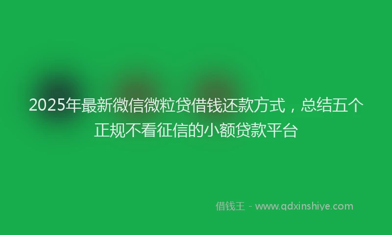 2025年最新微信微粒贷借钱还款方式，总结五个正规不看征信的小额贷款平台