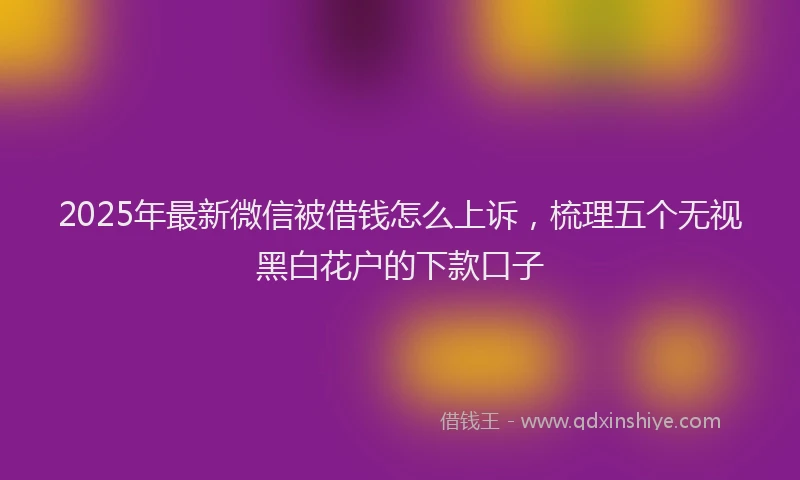 2025年最新微信被借钱怎么上诉，梳理五个无视黑白花户的下款口子