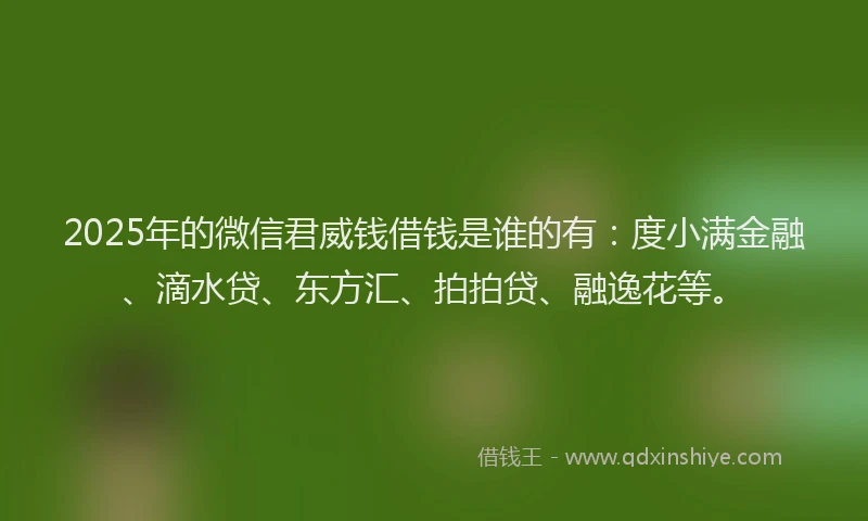 2025年的微信君威钱借钱是谁的有：度小满金融、滴水贷、东方汇、拍拍贷、融逸花等。