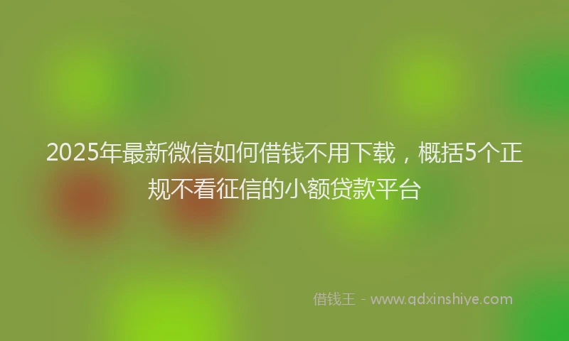2025年最新微信如何借钱不用下载，概括5个正规不看征信的小额贷款平台