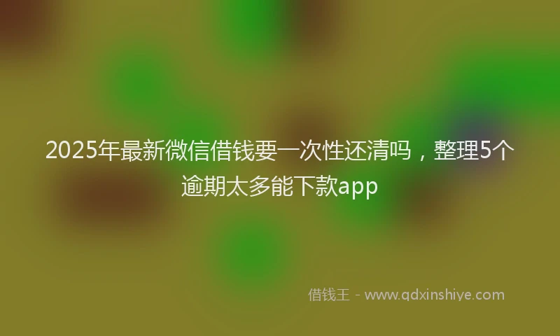 2025年最新微信借钱要一次性还清吗，整理5个逾期太多能下款app