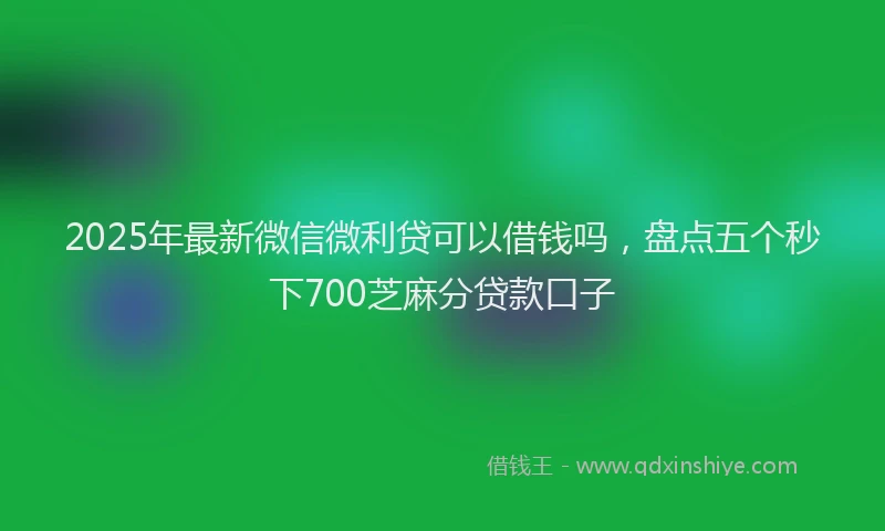 2025年最新微信微利贷可以借钱吗，盘点五个秒下700芝麻分贷款口子
