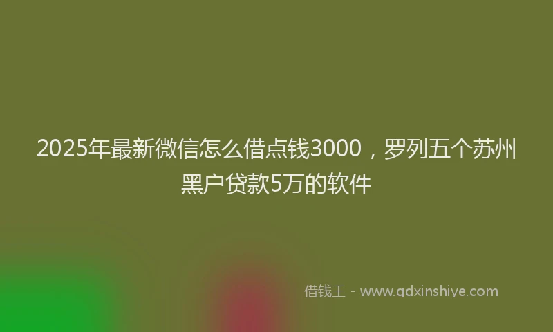 2025年最新微信怎么借点钱3000，罗列五个苏州黑户贷款5万的软件