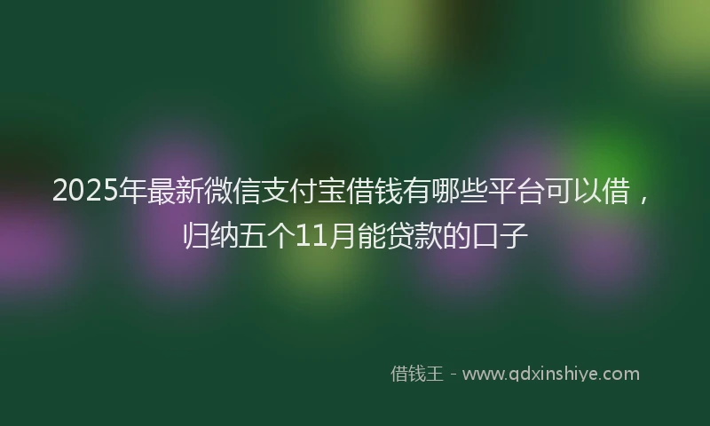 2025年最新微信支付宝借钱有哪些平台可以借，归纳五个11月能贷款的口子