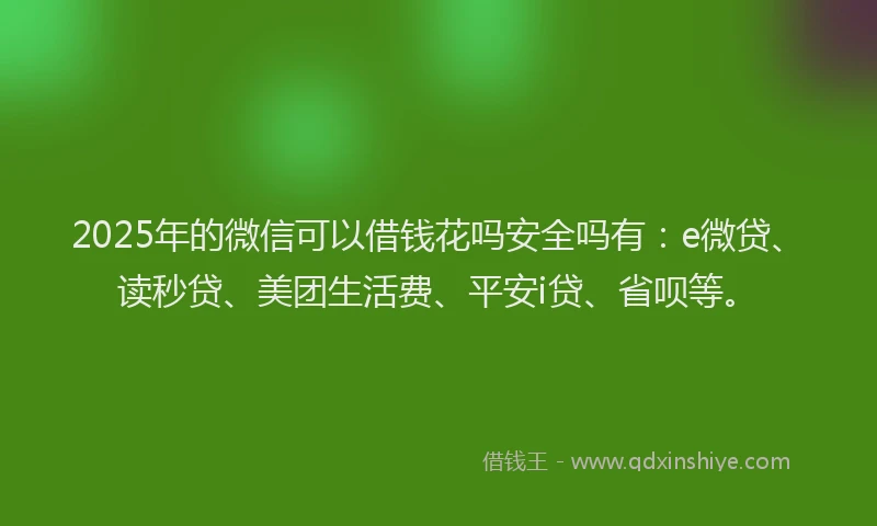 2025年的微信可以借钱花吗安全吗有：e微贷、读秒贷、美团生活费、平安i贷、省呗等。