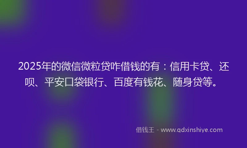 2025年的微信微粒贷咋借钱的有：信用卡贷、还呗、平安口袋银行、百度有钱花、随身贷等。