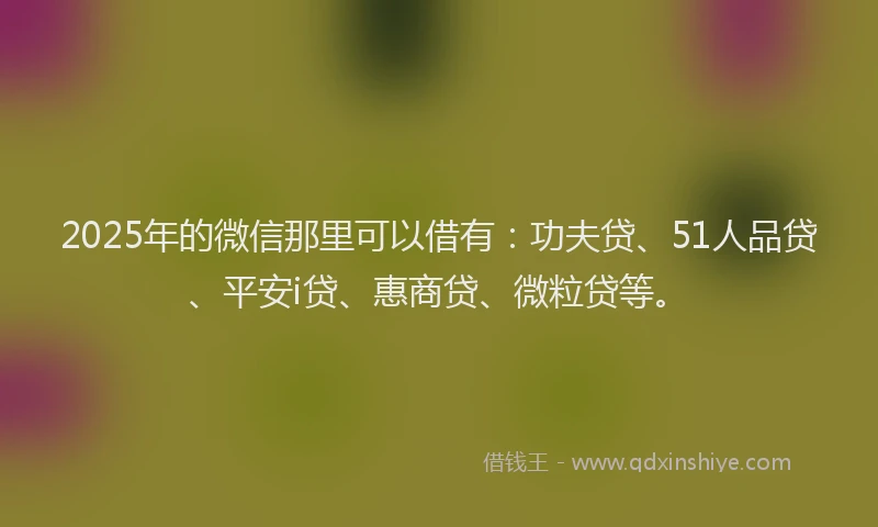 2025年的微信那里可以借有：功夫贷、51人品贷、平安i贷、惠商贷、微粒贷等。