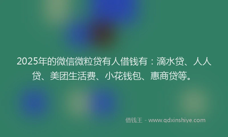2025年的微信微粒贷有人借钱有：滴水贷、人人贷、美团生活费、小花钱包、惠商贷等。