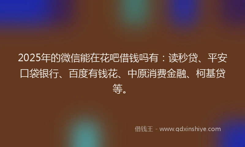 2025年的微信能在花吧借钱吗有：读秒贷、平安口袋银行、百度有钱花、中原消费金融、柯基贷等。