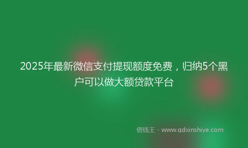 2025年最新微信支付提现额度免费，归纳5个黑户可以做大额贷款平台