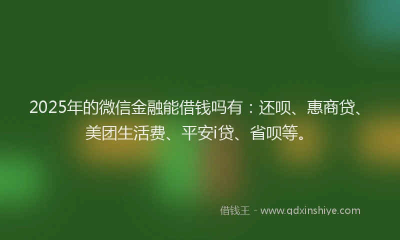 2025年的微信金融能借钱吗有：还呗、惠商贷、美团生活费、平安i贷、省呗等。