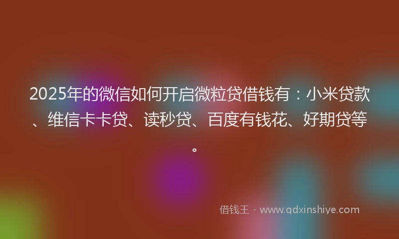 2025年的微信如何开启微粒贷借钱有：小米贷款、维信卡卡贷、读秒贷、百度有钱花、好期贷等。