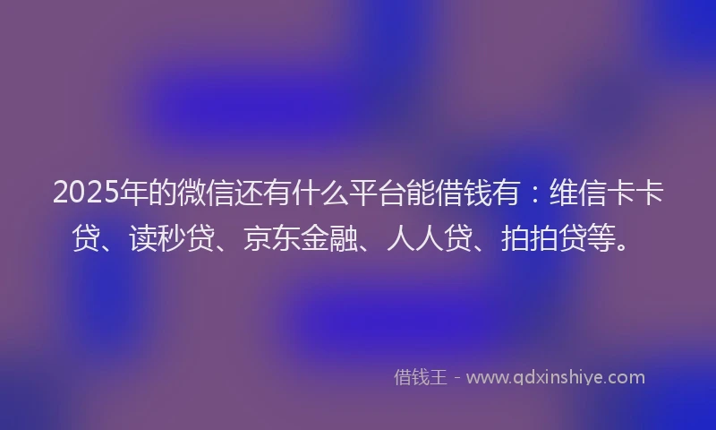 2025年的微信还有什么平台能借钱有：维信卡卡贷、读秒贷、京东金融、人人贷、拍拍贷等。
