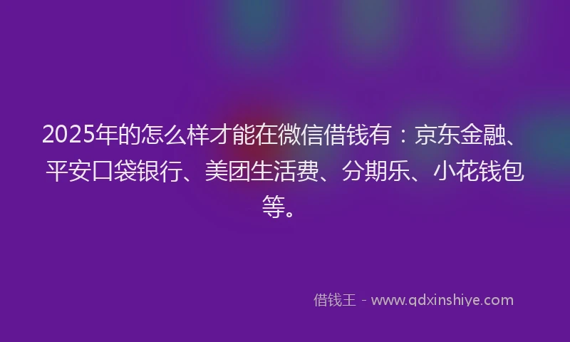 2025年的怎么样才能在微信借钱有：京东金融、平安口袋银行、美团生活费、分期乐、小花钱包等。