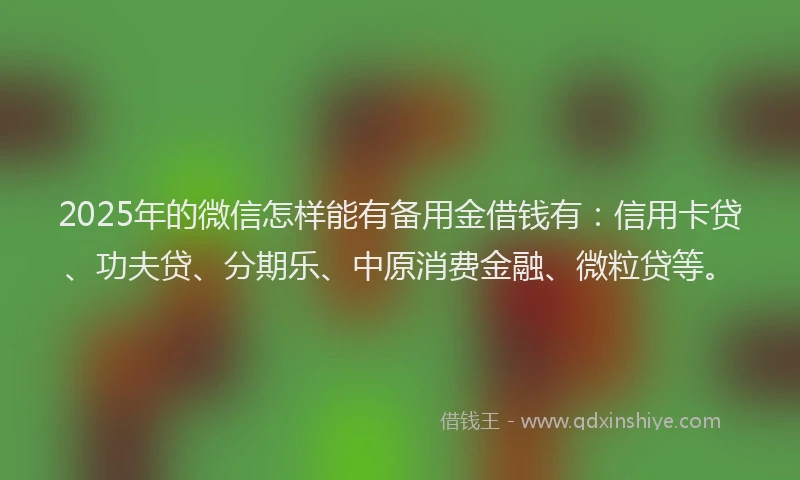 2025年的微信怎样能有备用金借钱有：信用卡贷、功夫贷、分期乐、中原消费金融、微粒贷等。