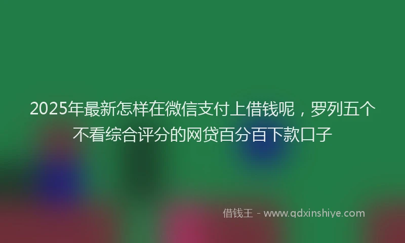 2025年最新怎样在微信支付上借钱呢，罗列五个不看综合评分的网贷百分百下款口子