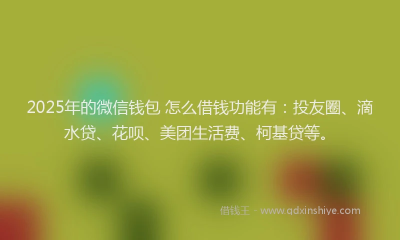 2025年的微信钱包 怎么借钱功能有：投友圈、滴水贷、花呗、美团生活费、柯基贷等。