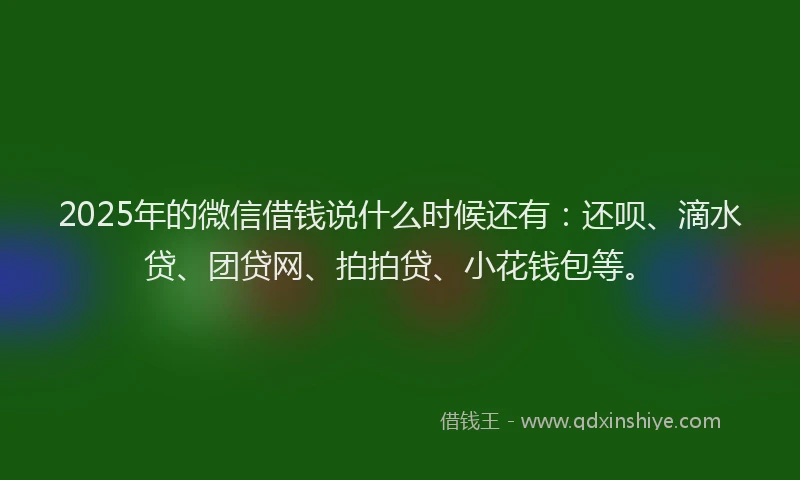 2025年的微信借钱说什么时候还有：还呗、滴水贷、团贷网、拍拍贷、小花钱包等。