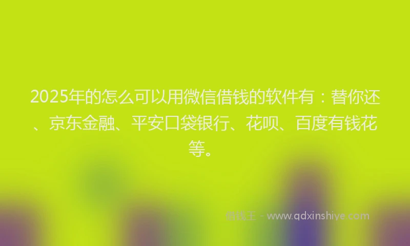 2025年的怎么可以用微信借钱的软件有：替你还、京东金融、平安口袋银行、花呗、百度有钱花等。
