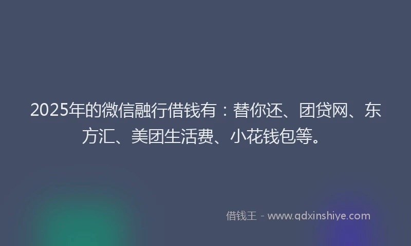 2025年的微信融行借钱有：替你还、团贷网、东方汇、美团生活费、小花钱包等。