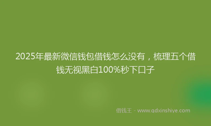 2025年最新微信钱包借钱怎么没有，梳理五个借钱无视黑白100%秒下口子