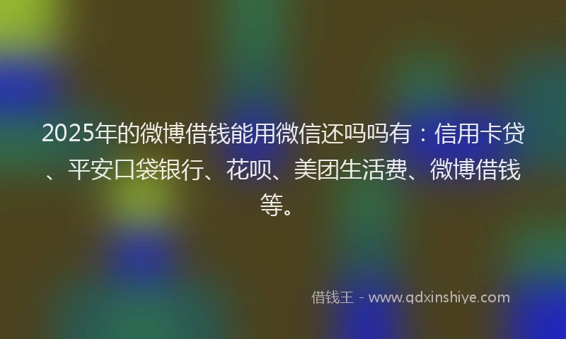 2025年的微博借钱能用微信还吗吗有：信用卡贷、平安口袋银行、花呗、美团生活费、微博借钱等。
