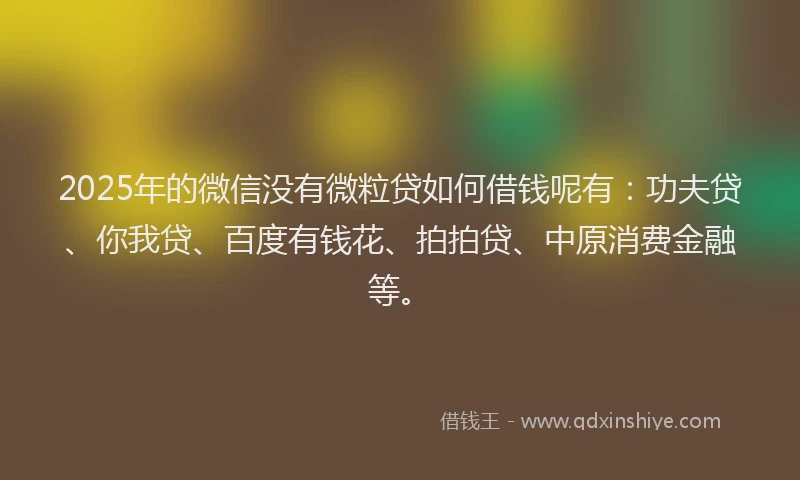 2025年的微信没有微粒贷如何借钱呢有：功夫贷、你我贷、百度有钱花、拍拍贷、中原消费金融等。