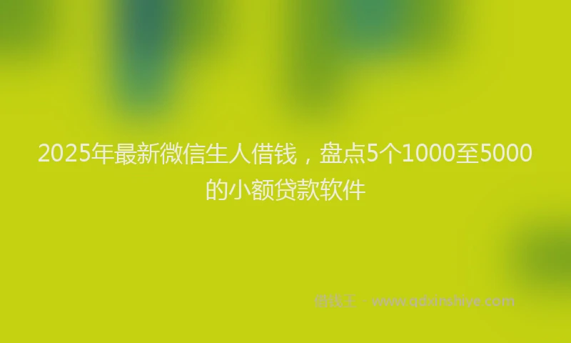 2025年最新微信生人借钱，盘点5个1000至5000的小额贷款软件
