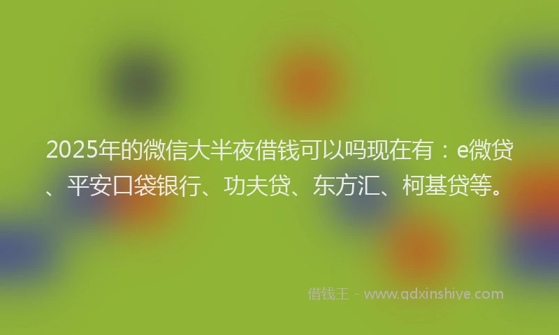 2025年的微信大半夜借钱可以吗现在有：e微贷、平安口袋银行、功夫贷、东方汇、柯基贷等。