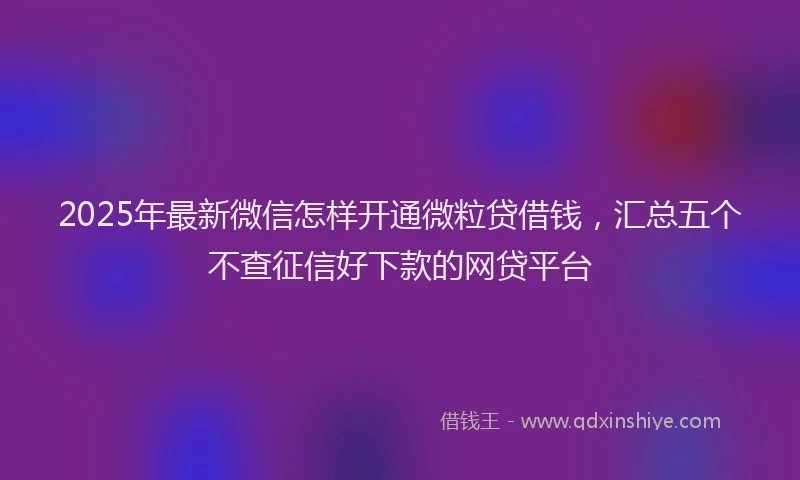 2025年最新微信怎样开通微粒贷借钱，汇总五个不查征信好下款的网贷平台