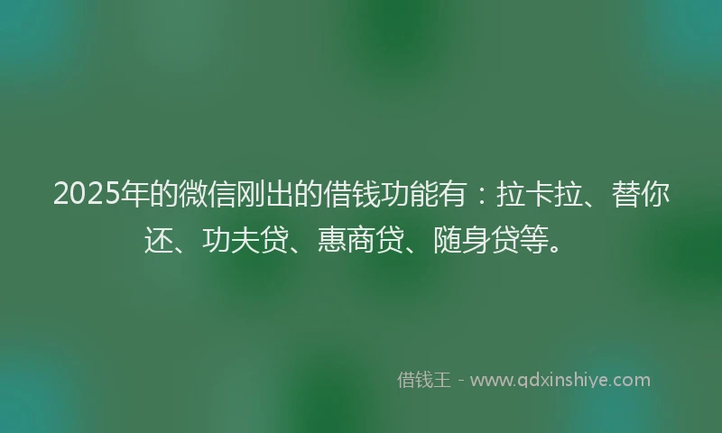 2025年的微信刚出的借钱功能有：拉卡拉、替你还、功夫贷、惠商贷、随身贷等。