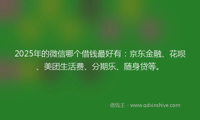 2025年的微信哪个借钱最好有：京东金融、花呗、美团生活费、分期乐、随身贷等。