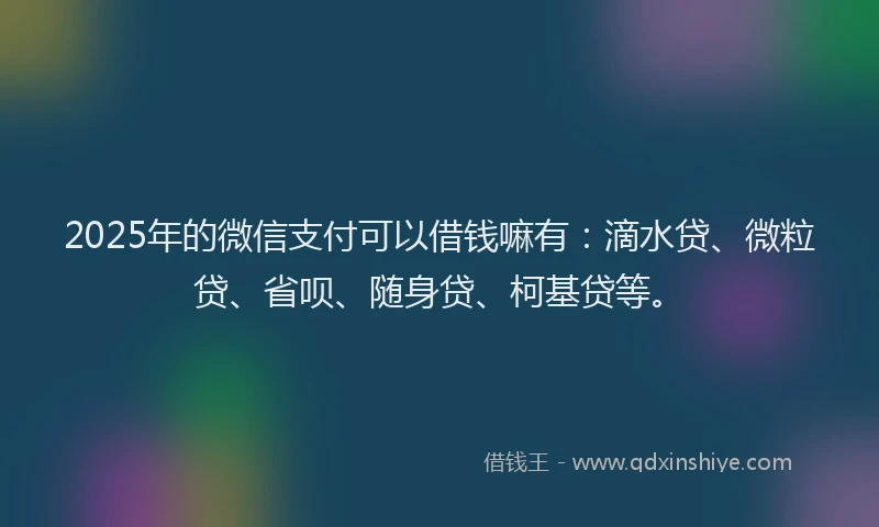 2025年的微信支付可以借钱嘛有：滴水贷、微粒贷、省呗、随身贷、柯基贷等。