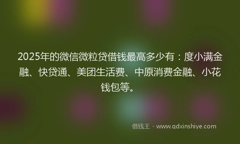 2025年的微信微粒贷借钱最高多少有：度小满金融、快贷通、美团生活费、中原消费金融、小花钱包等。