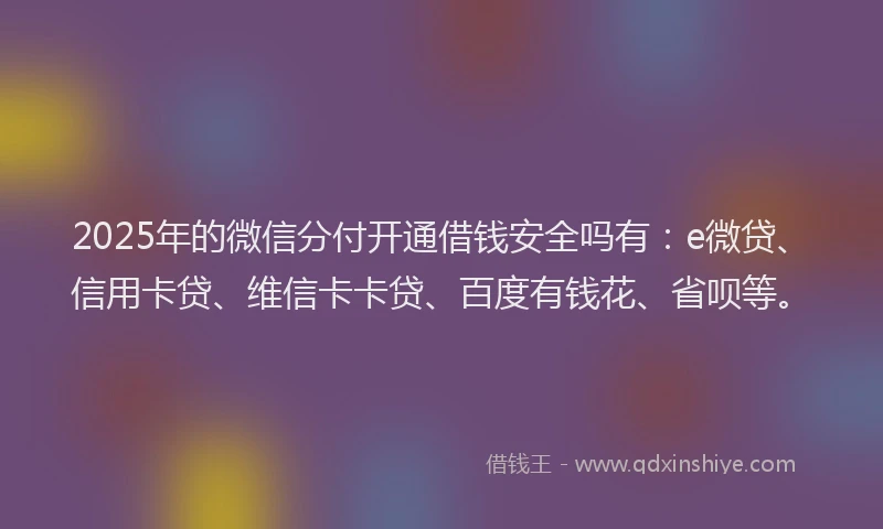 2025年的微信分付开通借钱安全吗有：e微贷、信用卡贷、维信卡卡贷、百度有钱花、省呗等。