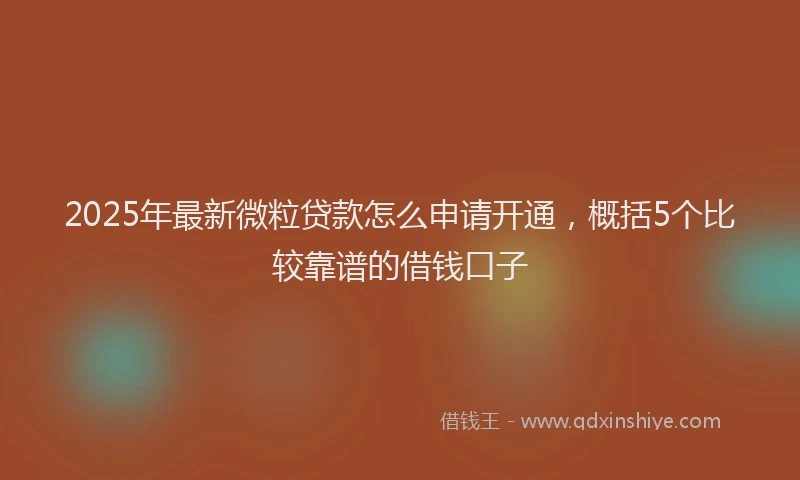 2025年最新微粒贷款怎么申请开通，概括5个比较靠谱的借钱口子